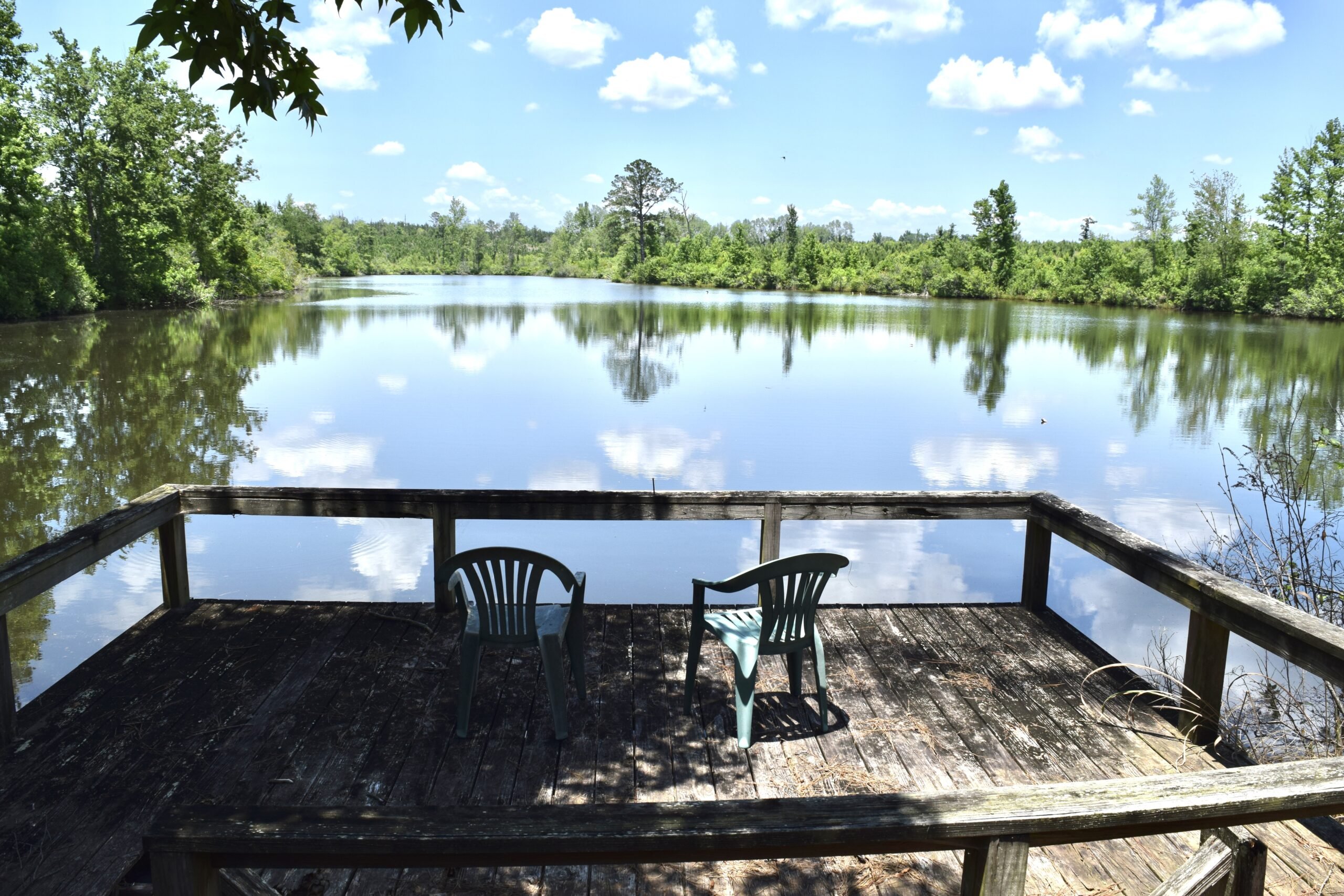 🌳 마쓰자카 농업공원 벨팜 (마쓰사카노교코엔베루화무) 이미지 7